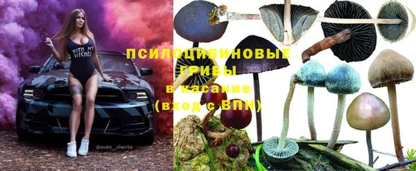мескалин Абаза