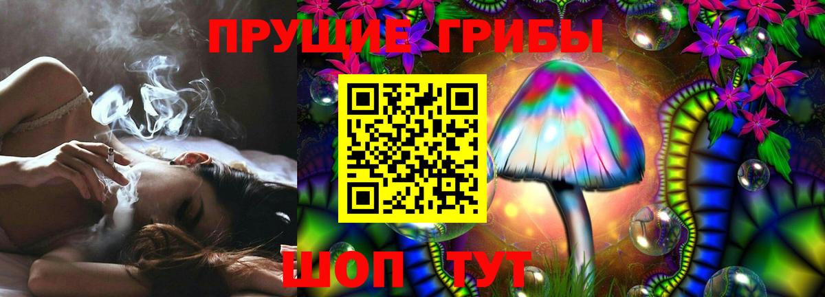 купить наркотик  Псилоцибиновые грибы GOLDEN TEACHER  Аксай  Вход с VPN  Галлюциногенные грибы Magic Shrooms 